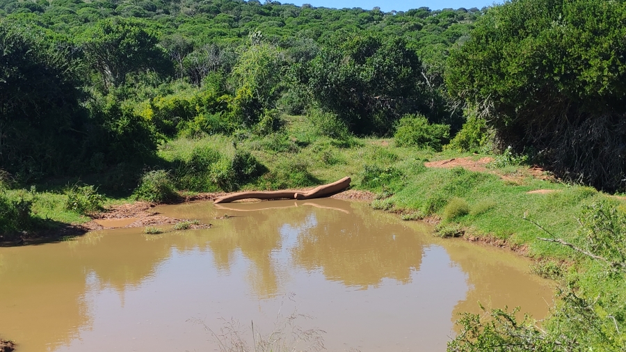 0 Bedroom Property for Sale in Somerset East Rural Eastern Cape